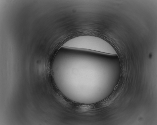 X0000100770085200806190943