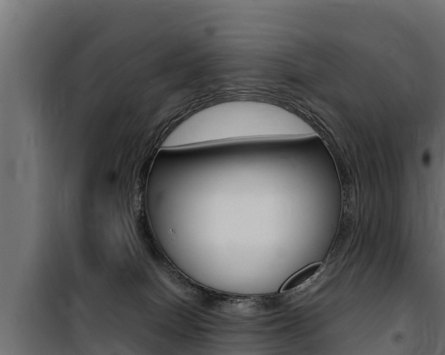 X0000100770086200806190943