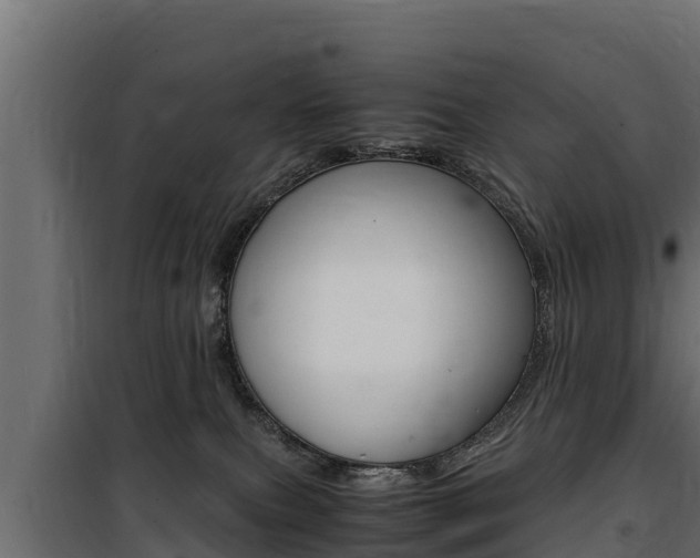 X0000100770087200806190943