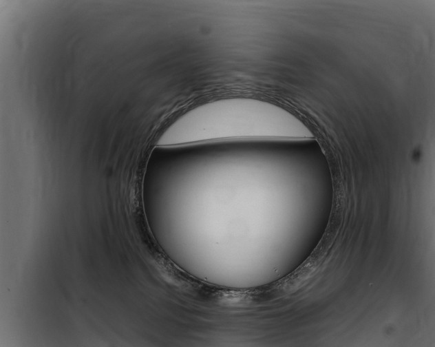 X0000100770088200806190943