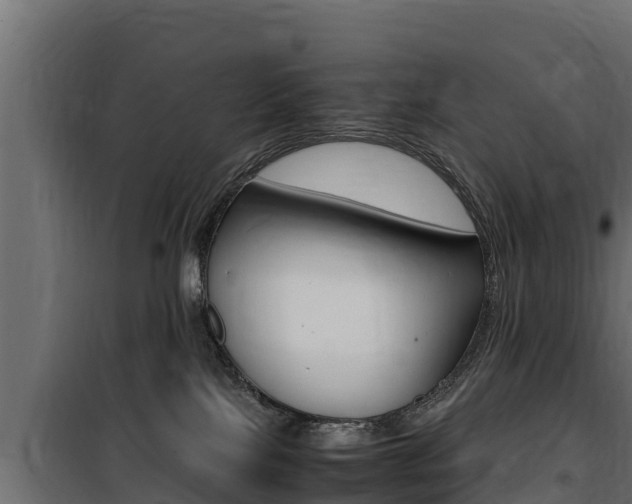 X0000100770089200806190943