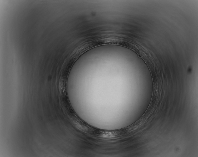 X0000100770091200806190943