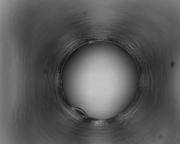 X0000100770092200806190943