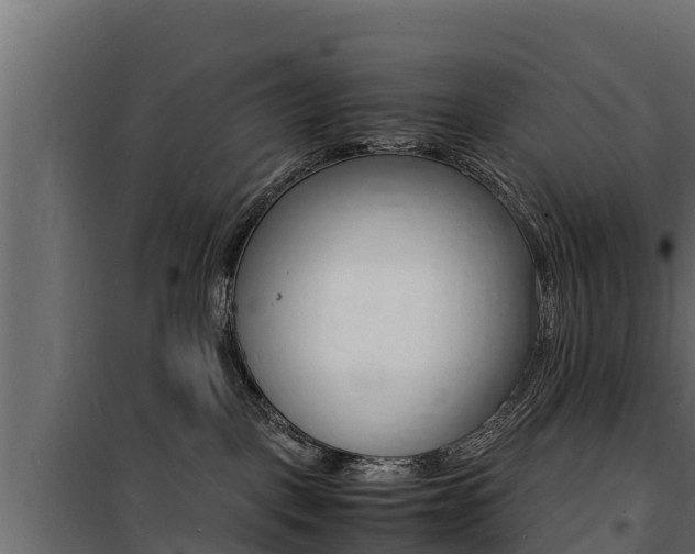 X0000100770093200806190943