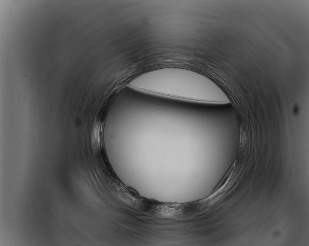 X0000100770094200806190943
