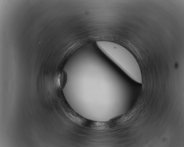 X0000100770095200806190943