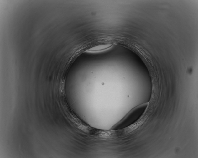 X0000100770096200806190943