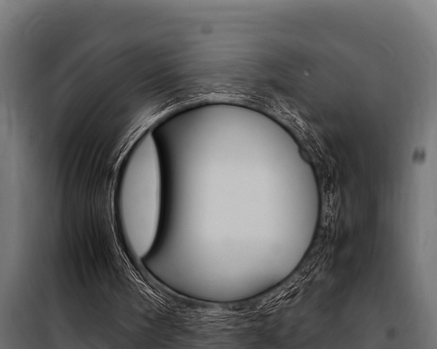 X0000100770098200806190942
