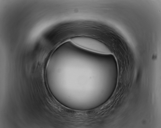 X0000100770099200806190942