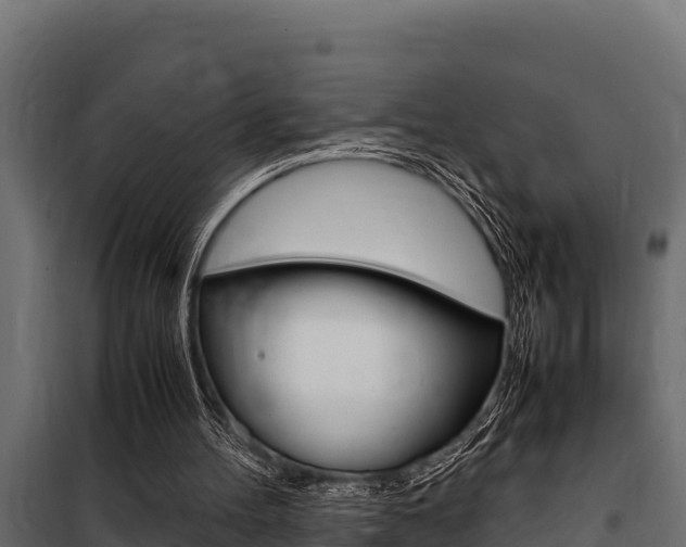 X0000100770100200806190942