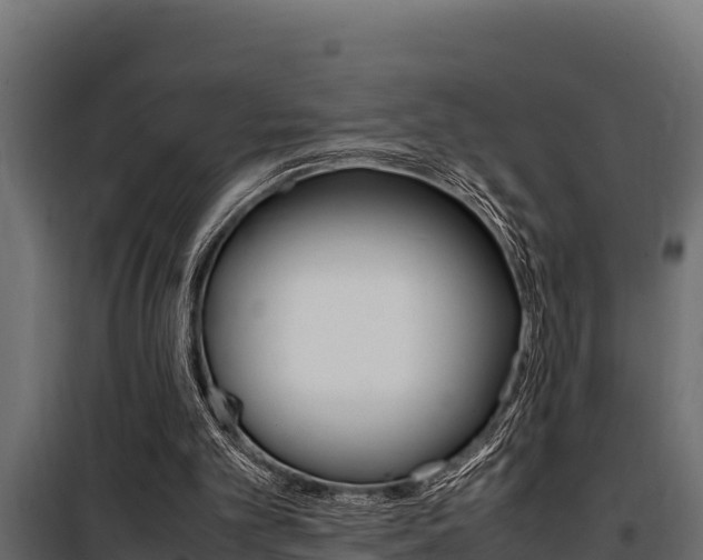 X0000100770101200806190942