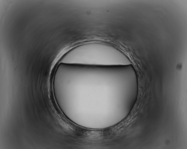 X0000100770102200806190942