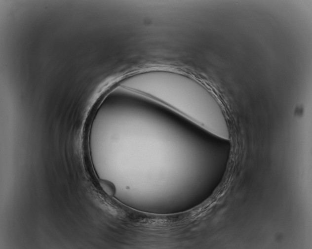 X0000100770104200806190942