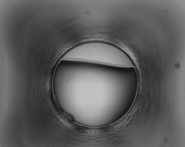X0000100770105200806190942