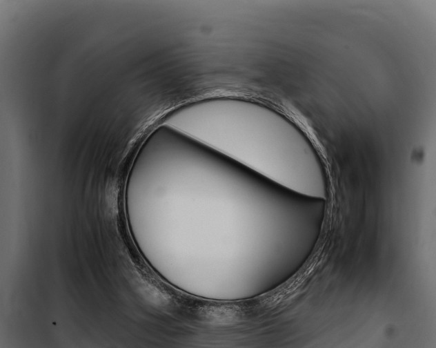 X0000100770106200806190942