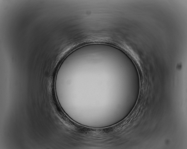 X0000100770107200806190942