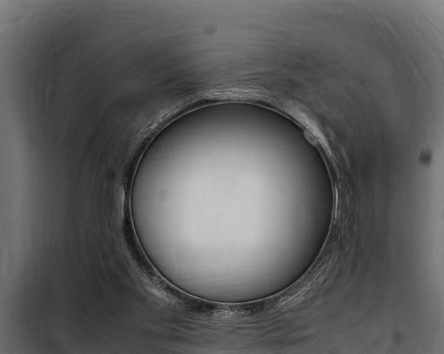 X0000100770109200806190942