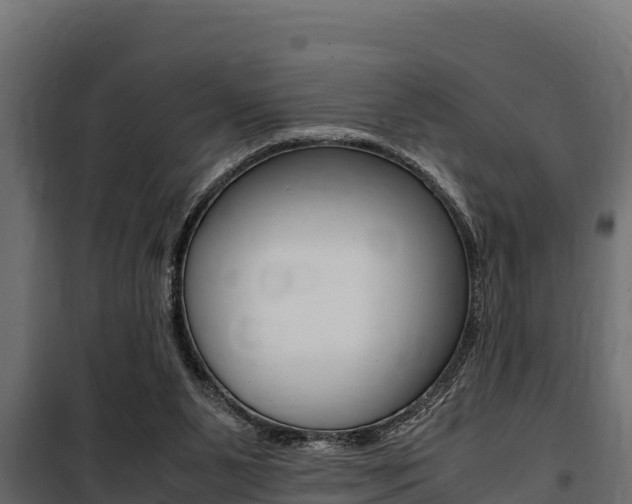 X0000100770111200806190942