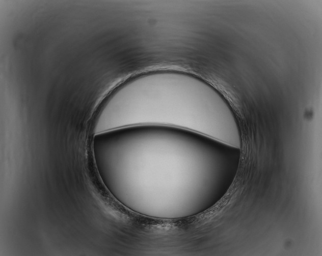 X0000100770112200806190942