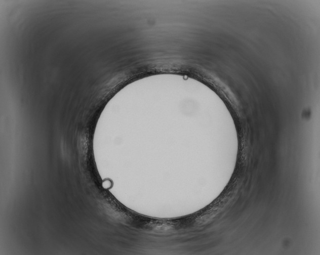 X0000100770113200806190942