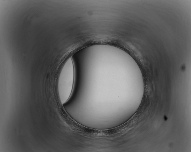X0000100770115200806190942