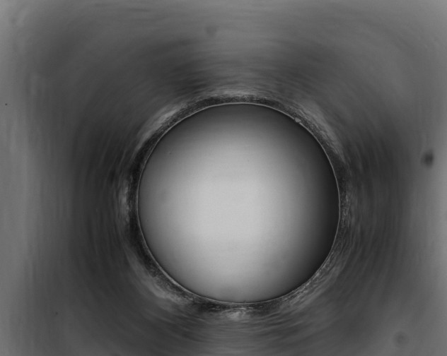 X0000100770116200806190942