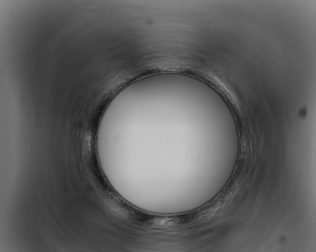 X0000100770117200806190942