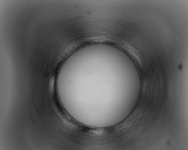 X0000100770118200806190942