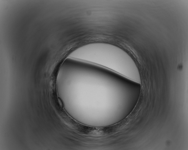 X0000100770119200806190942