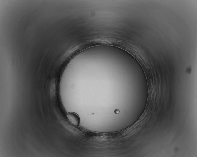 X0000100770120200806190942