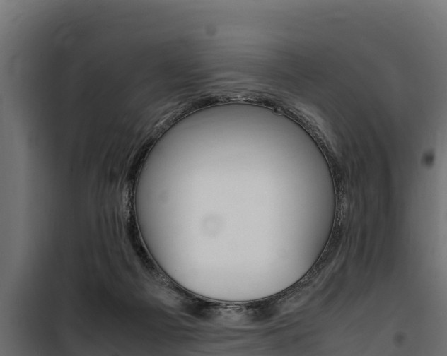 X0000100770121200806190942