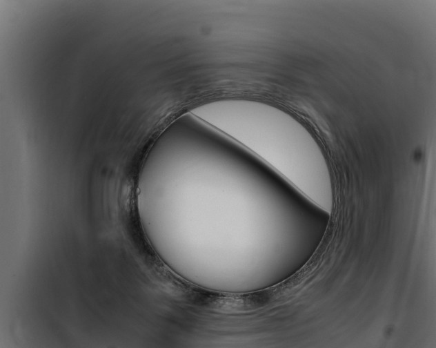 X0000100770123200806190942