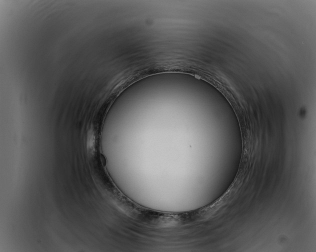 X0000100770124200806190942