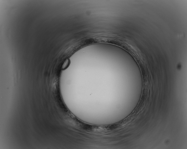 X0000100770125200806190942
