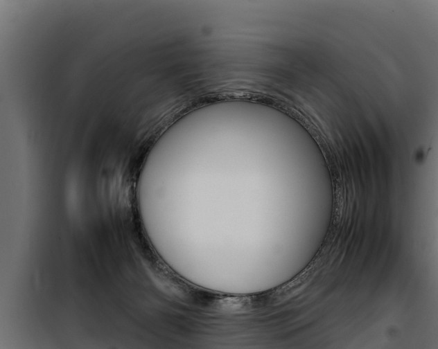 X0000100770126200806190942