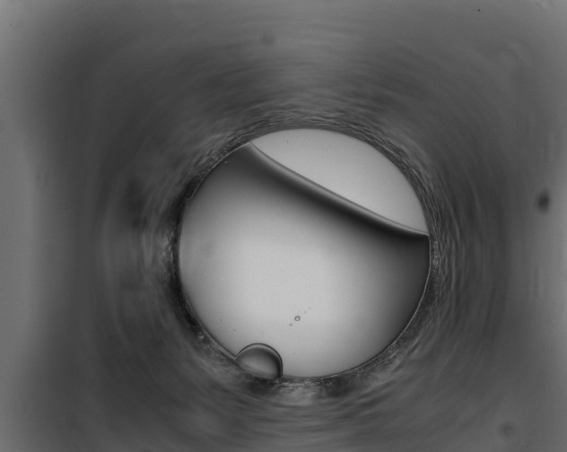 X0000100770127200806190942