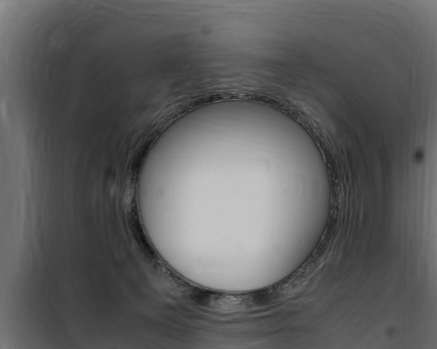 X0000100770129200806190942
