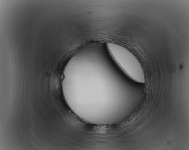 X0000100770131200806190942