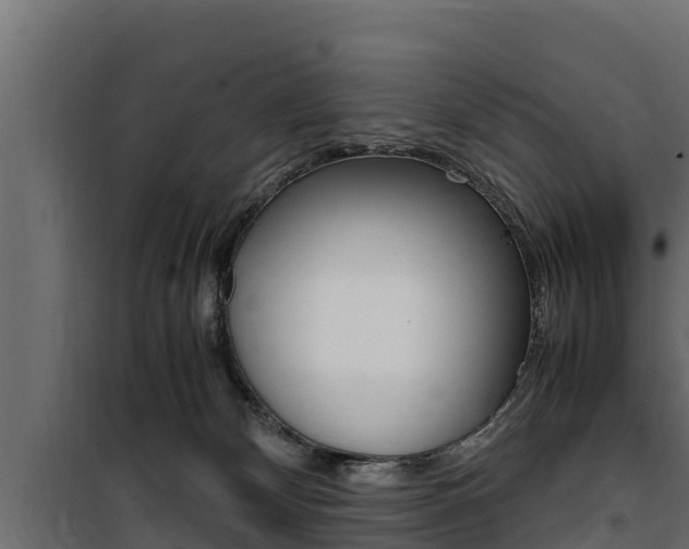 X0000100770132200806190942