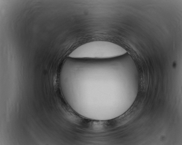 X0000100770134200806190942