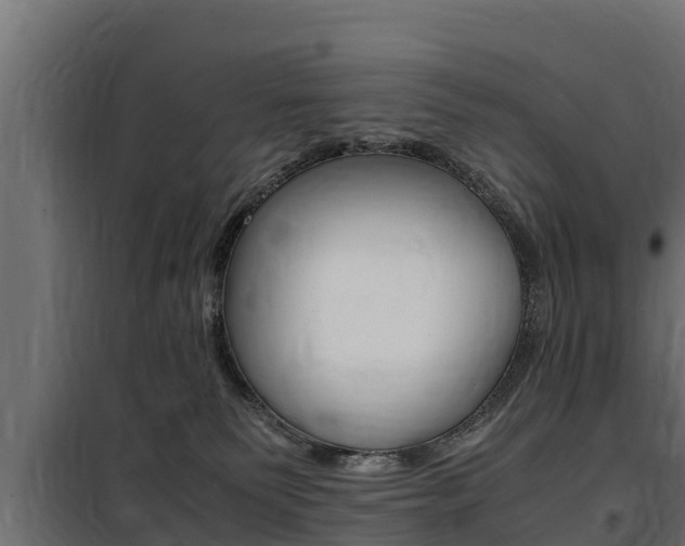 X0000100770135200806190942