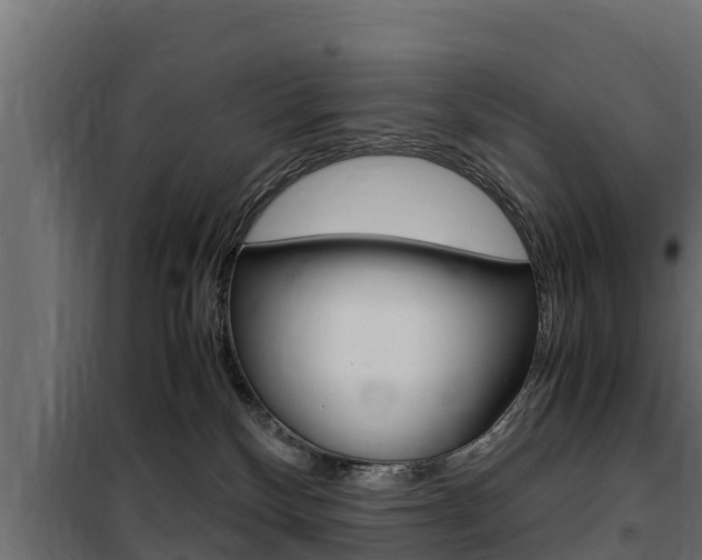 X0000100770136200806190942