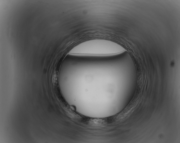 X0000100770137200806190942