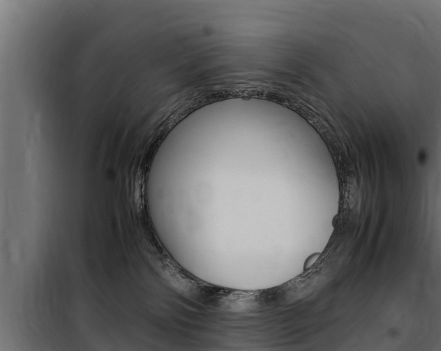 X0000100770138200806190942