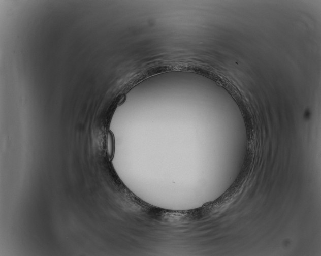 X0000100770139200806190942