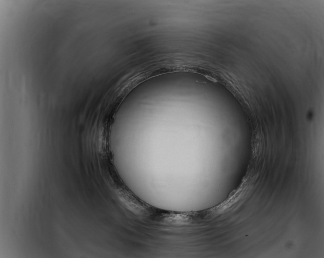 X0000100770140200806190942
