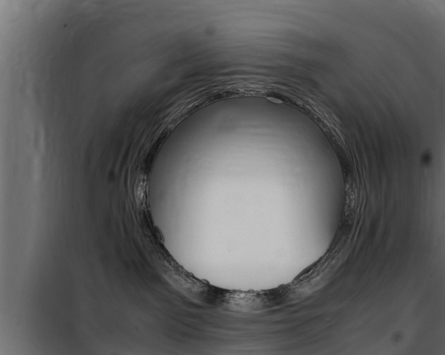 X0000100770141200806190942