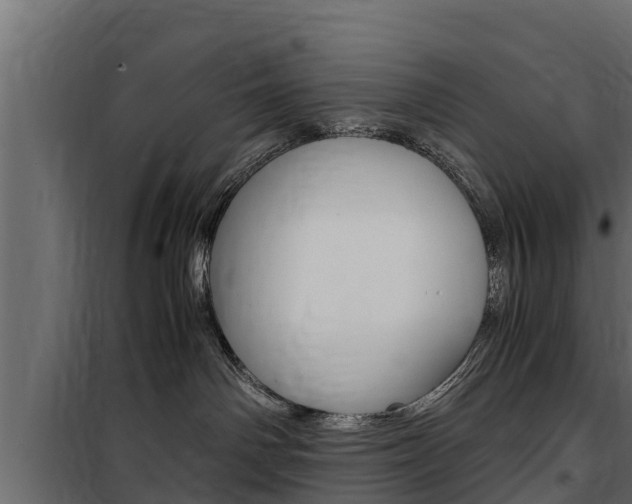 X0000100770142200806190942