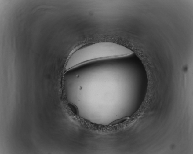 X0000100770144200806190942