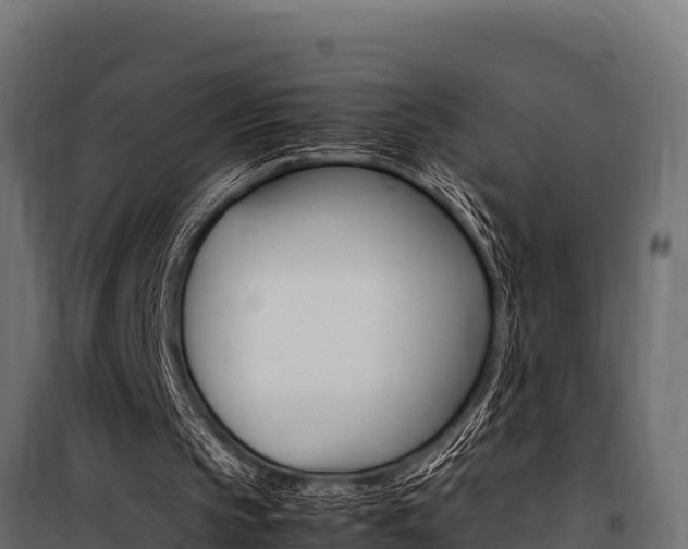 X0000100770145200806190941